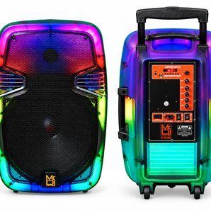 MR DJ PL12FLAME 12" Portable Translucent Bluetooth Speaker