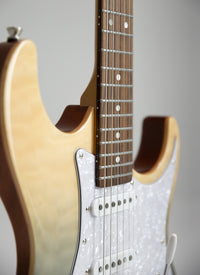 Thumbnail for Tagima Stella DW-TBWF-DF/PW Electric Guitar - Transparent Blue