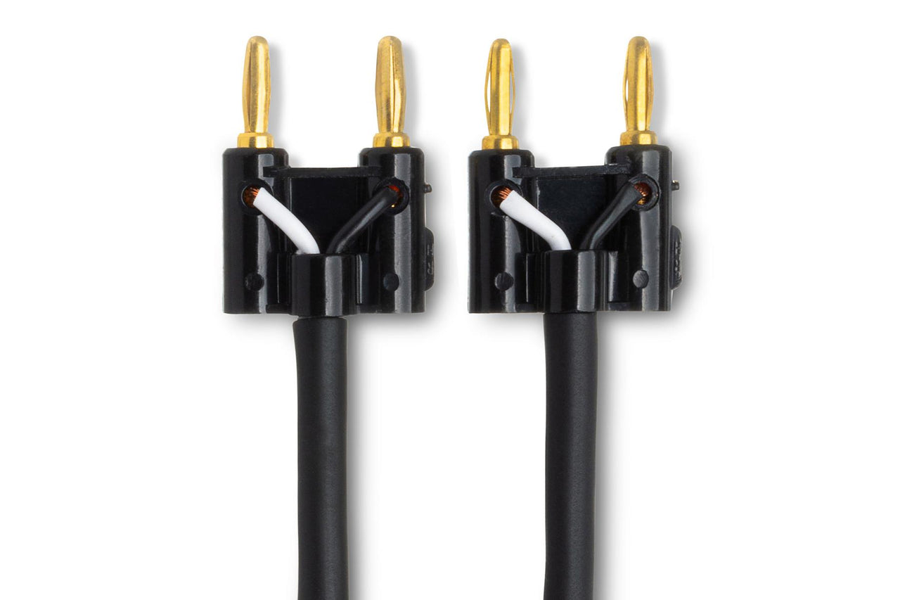 Hosa SKJ-630BB Speaker Cable Hosa Dual Banana to Same 30 foot