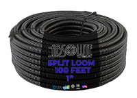Thumbnail for 100 Ft 1