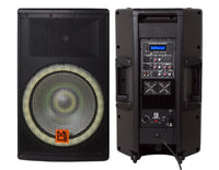 Thumbnail for SYNERGY15 Bluetooth Speaker 2-Way 15