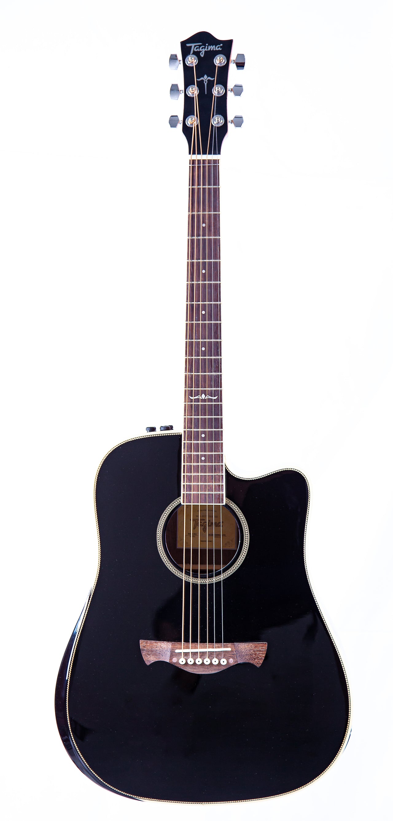 Tagima  WS 25 EQ-BK Acoustic Guitar - Black