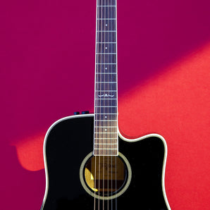 Tagima  WS 25 EQ-BK Acoustic Guitar - Black