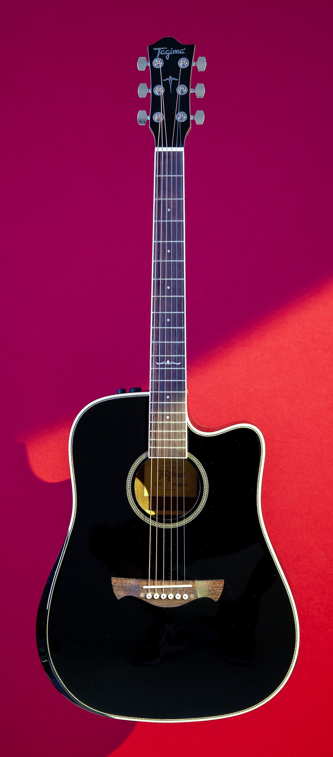 Tagima  WS 25 EQ-BK Acoustic Guitar - Black