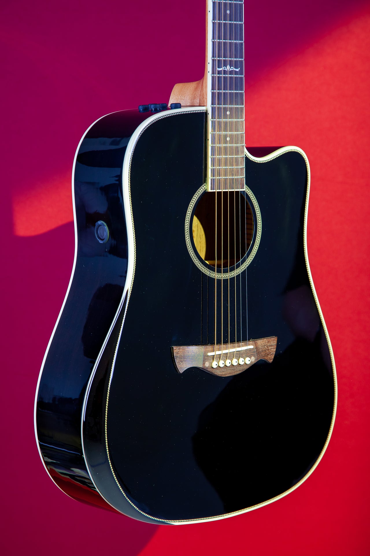 Tagima  WS 25 EQ-BK Acoustic Guitar - Black