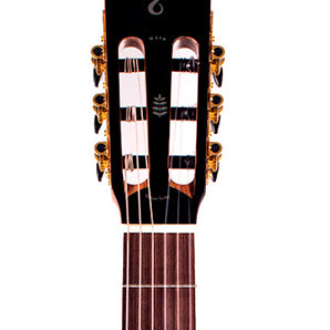 Tagima WS 12 EQ-BK Nylon String - Black