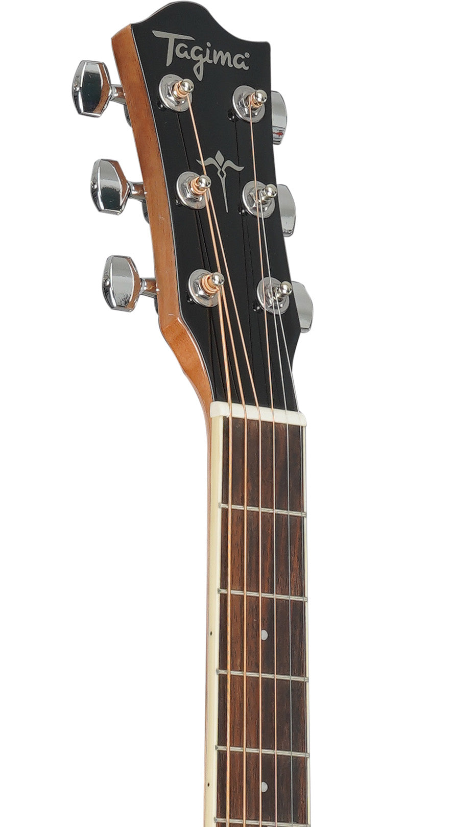 Tagima  WS 25 EQ-BK Acoustic Guitar - Black