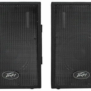 Peavey DJ 2-Way 100 Watt PA Speaker System with 10" Woofers 2 Speakers PVi10