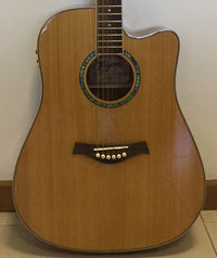 Thumbnail for Tagima VANCOUVER EQ-NA Acoustic Guitar - Natural