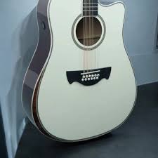 Tagima  SIERRENA XII EQ WH Acoustic Guitar - White