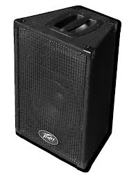 Thumbnail for Peavey PVi 10 Passive Two-Way PA Speaker - Pair