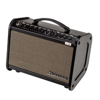Thumbnail for Traynor AMMINI 65 Watt Acoustic Amplifier