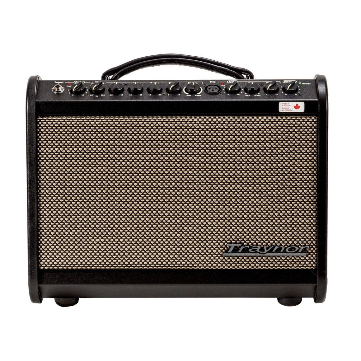 Traynor AMMINI 65 Watt Acoustic Amplifier