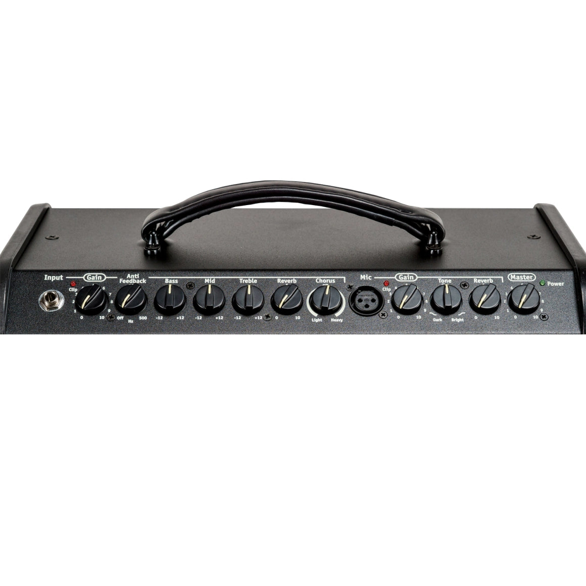 Traynor AMMINI 65 Watt Acoustic Amplifier