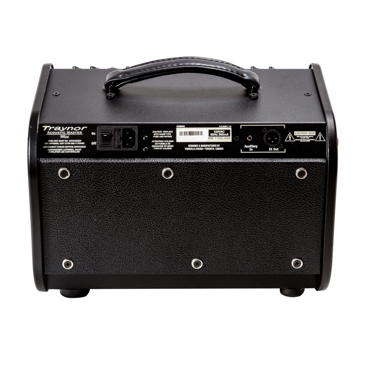 Traynor AMMINI 65 Watt Acoustic Amplifier