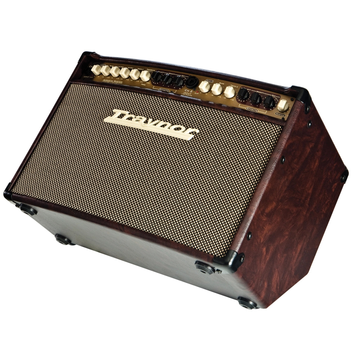 Traynor AMSTANDARD 150 Watt Stereo Acoustic Amplifier