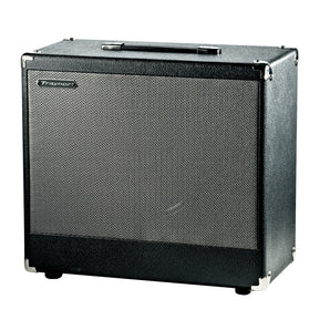 Traynor DHX12 DarkHorse Series 1 x 12-inch Guitar Extension Cabinet - 25 Watts
