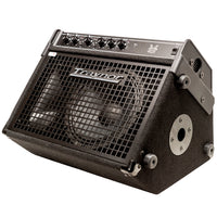 Thumbnail for Traynor DW10 200 Watt Combo Drum Amplifier