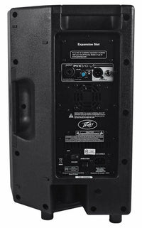 Thumbnail for PEAVEY PVXp10 10