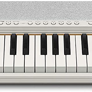 Casio, 61-Key Portable Keyboard (CT-S1WH)