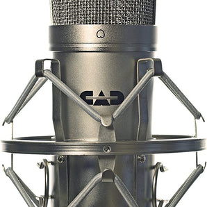 CAD Audio CAD GXL2200 Cardioid Condenser Microphone, Champagne Finish