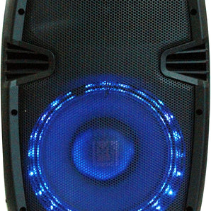 MR DJ PBX1859S 10" 2-Way PRO PA DJ Portable Passive Speaker with LED Accent Lighting