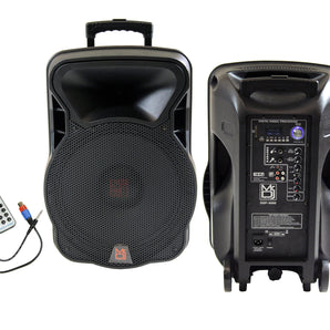 MR DJ DSP4000 PRO Bluetooth DSP FM Radio PA DJ Speaker