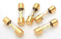 Thumbnail for Absolute USA AGU100-10 10 AGU Gold Standard Glass Fuses 100 Amp