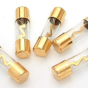 Absolute AGU100 AGU Glass Fuses, 5 PCS Car Audio Home Marine Installation