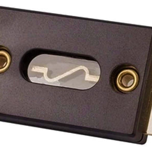 2 Absolute ANL100 100 Amp ANL Fuse Gold Plated High Quality Fuses Car Audio Blade